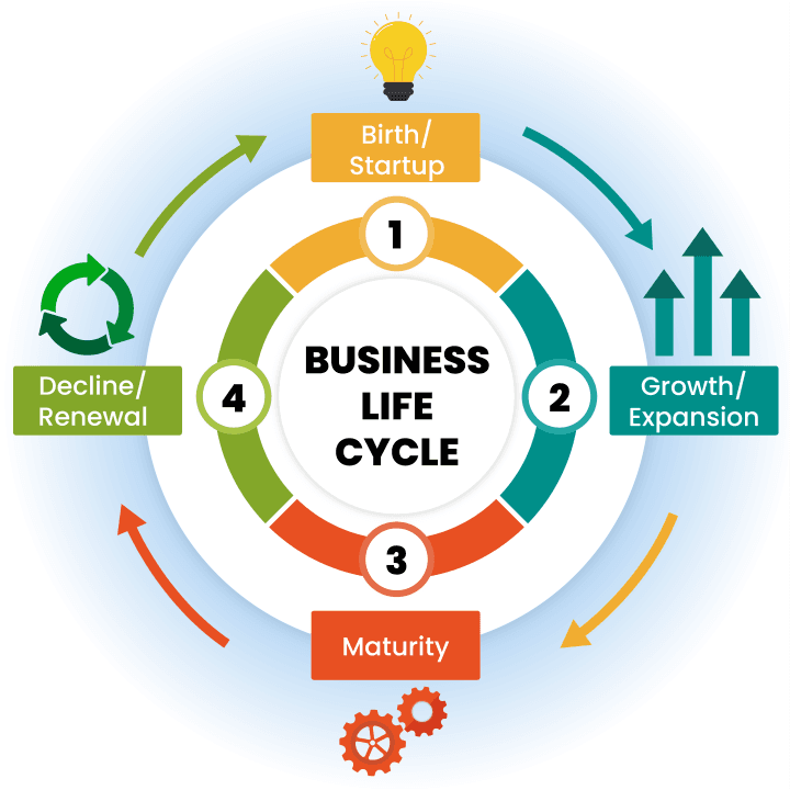 Business lifecycle